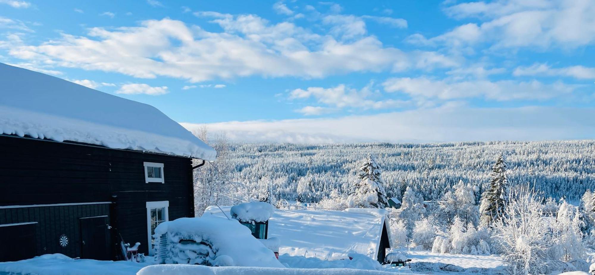 Lillstugan Saelen By Exterior photo
